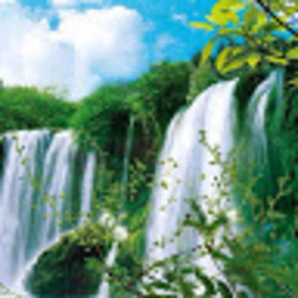 Meet your Posher, Eddy - Picture 1 of 1